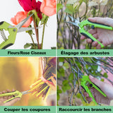 Sécateur De Jardin; Ciseaux à Fleurs ,Sécateur Pour Plantes